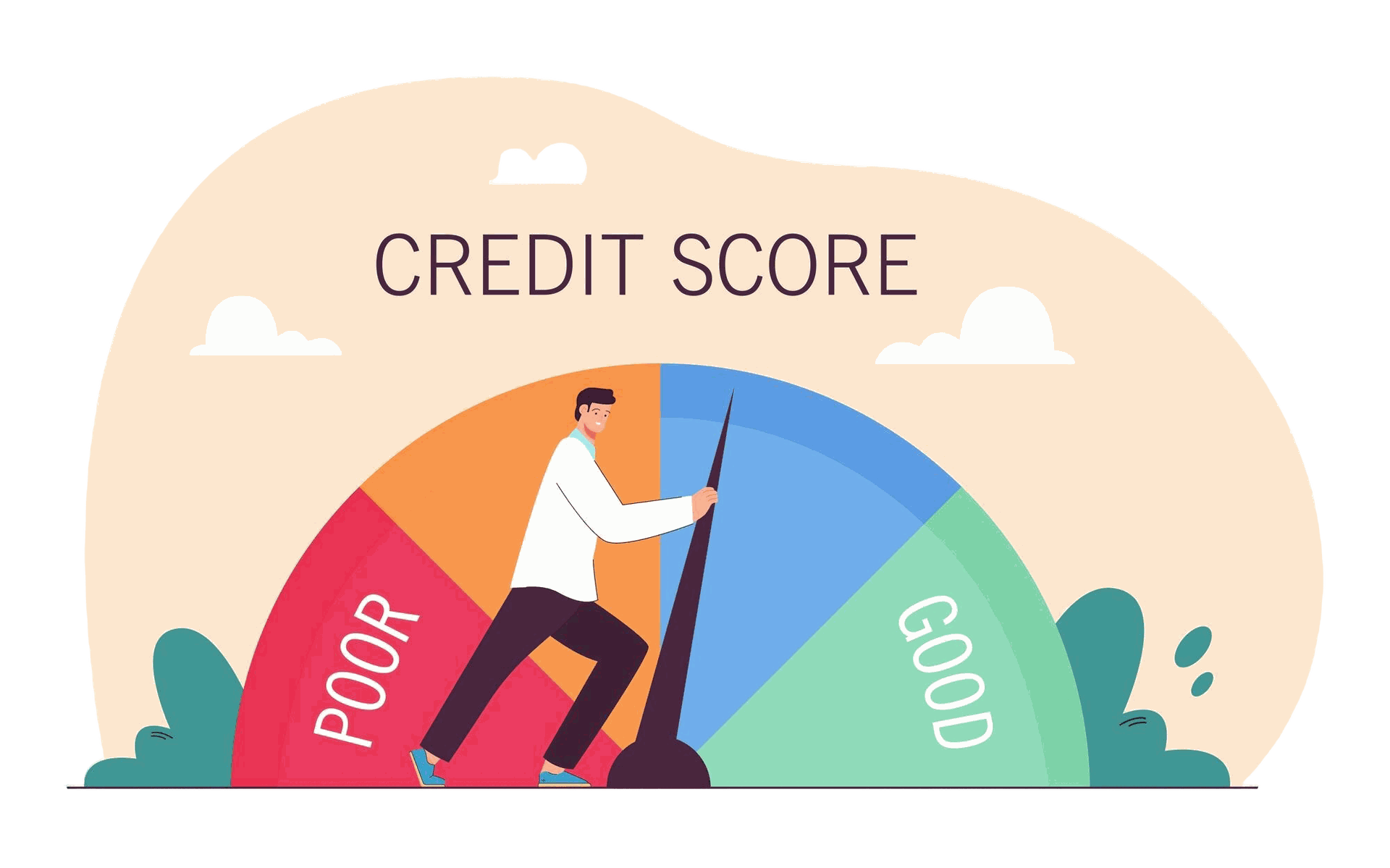 credit score management